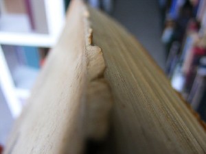 biblioteca 104 copy.jpg